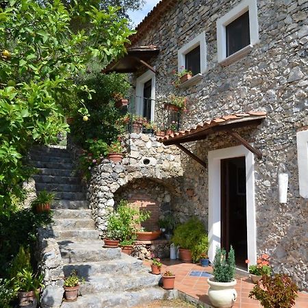 Agrestis Domus San Giovanni a Piro Exterior foto